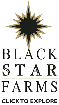 black star farms michigan winery1