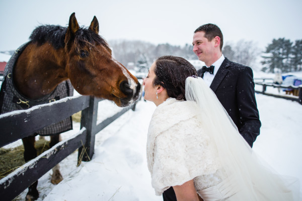 Bride and groom greeting a horse in winter at the stables at Black Star Farms.