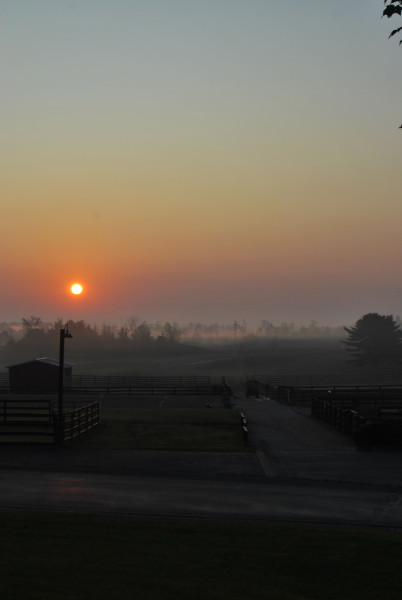 Misty Sunrise on the Farm