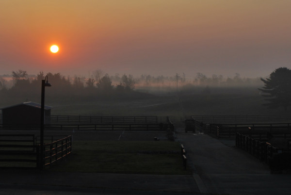 Misty Sunrise on the Farm horizontal