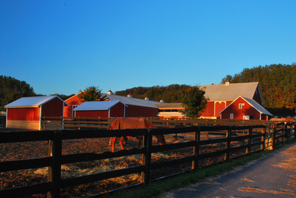 Stables at the Golden Hour