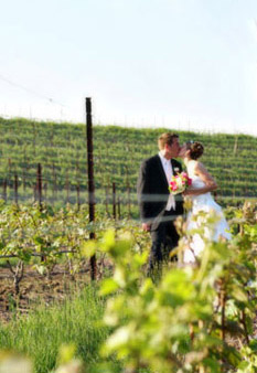 vineyard wedding in michigan