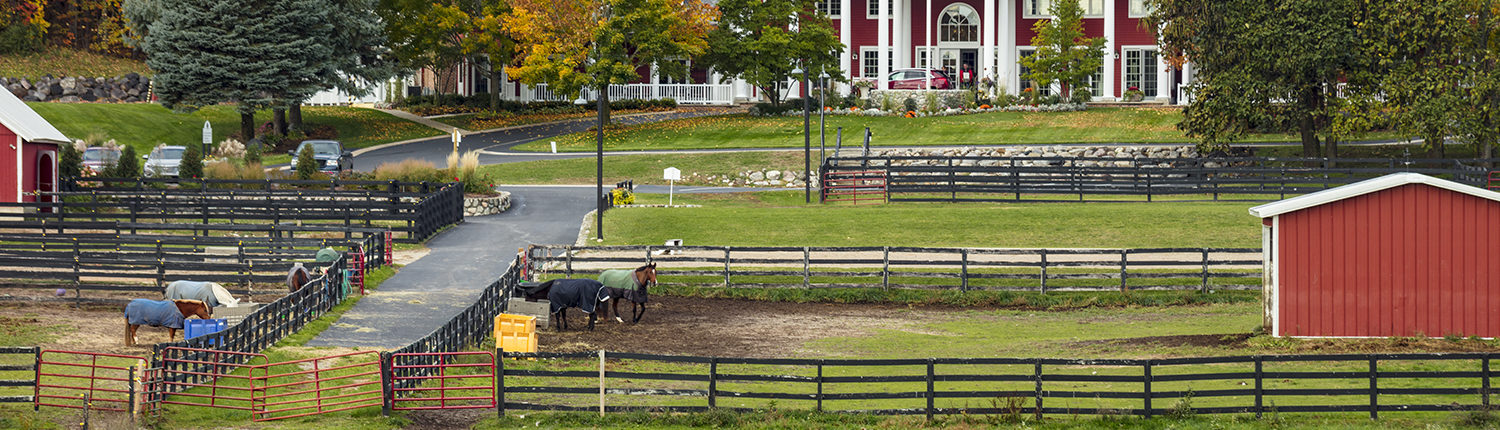 The Paddock and Stables at Black Star Farms