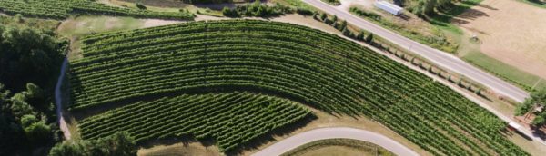 Aerial view of the vineyard at Black Star Farms Winery Estate in Suttons Bay.