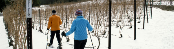 Black Star Farms Snowshoes Vines Wines
