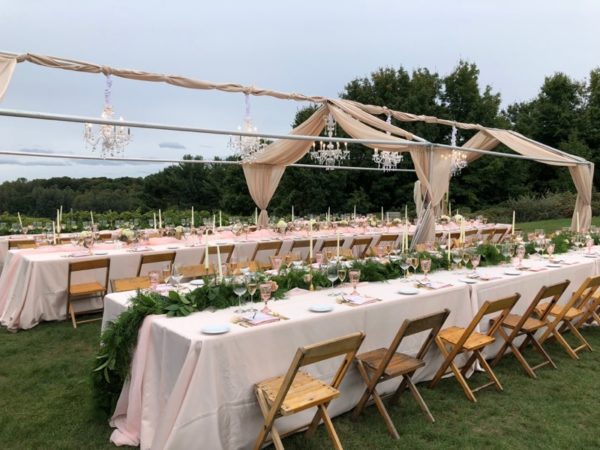 Long tables decorated for a wedding reception dinner at our scenic hilltop vineyard site.