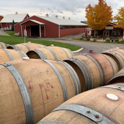 Wine barrels with the Hearth & Vine Cafe and Barns in the background.