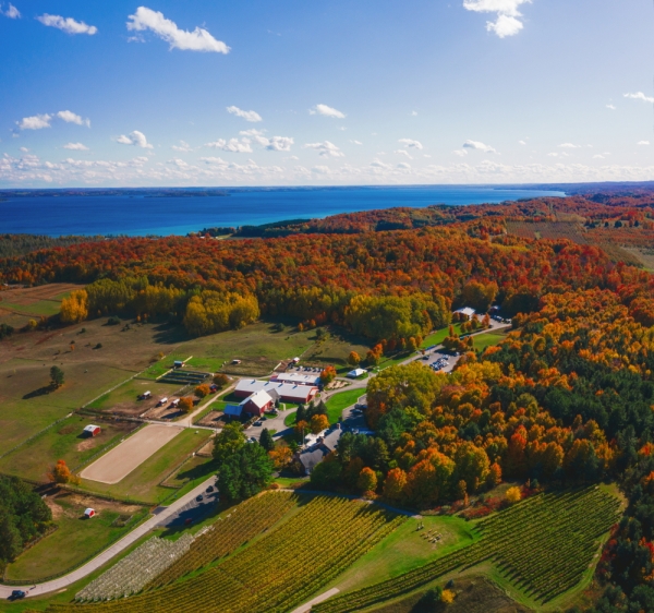 Ariel shot of Black Star Farms Suttons Bay in fall.