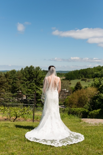 Bride standing in the vineyard.