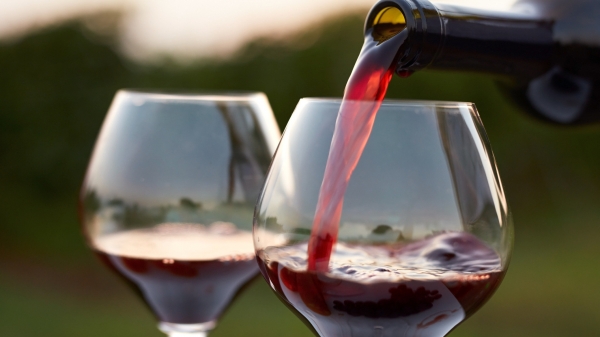 Pouring red wine into glasses.