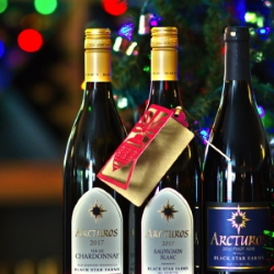 Three bottles of wine with holiday lights.