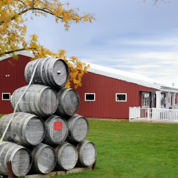 Wine barrels in front of Black Star Farms Old Mission.