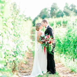 Bride and Groom standing between the vines.