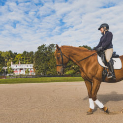 Woman riding horse in the outdoor riding arena.
