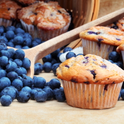 Fresh-baked blueberry muffins surrounded by fresh blueberries.