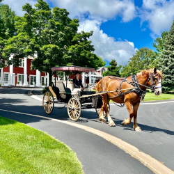 Horse-drawn carriage leaving the Inn.