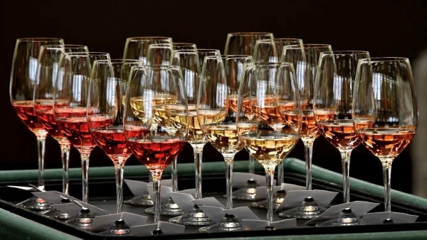 Many glasses of wine at a wine competition.
