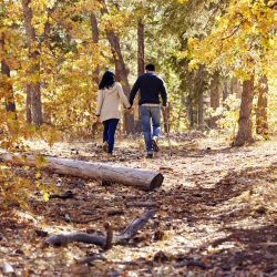 A couple walking on a trail in the woods.