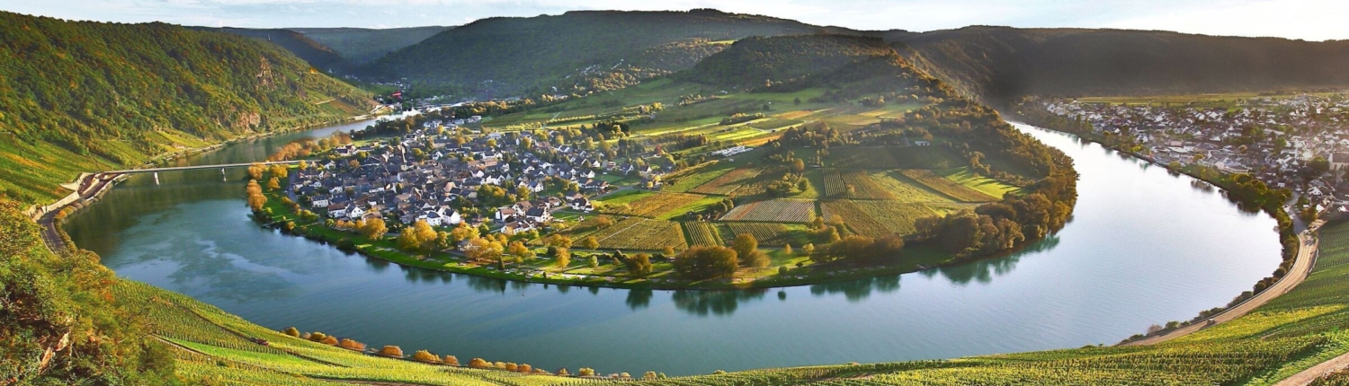 A river in Germany with vineyards on its banks.