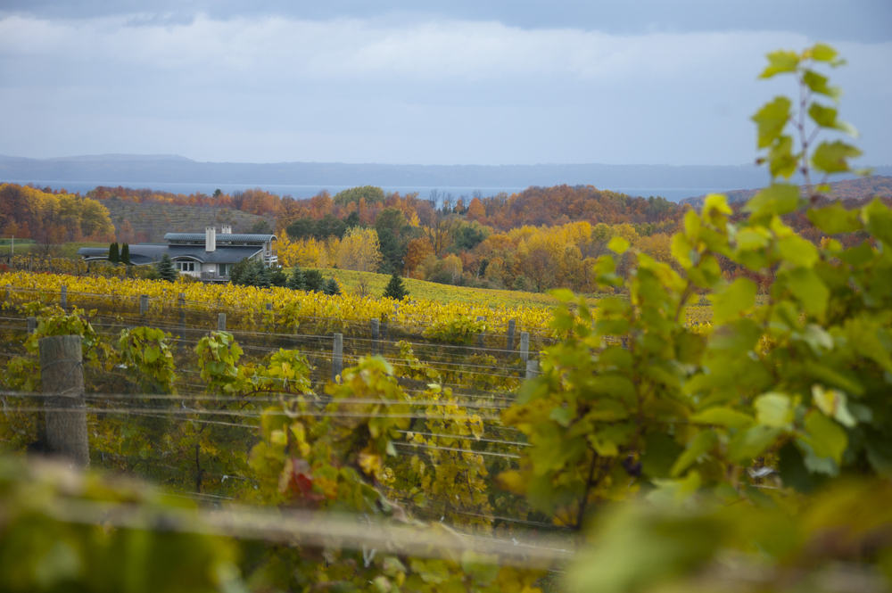 Best Wine Tours in the Traverse City Area