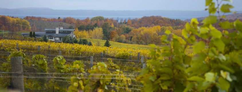 Michigan fall colors on the Leelanau Peninsula while enjoying the best Traverse City wine tours and the top wineries in Traverse City