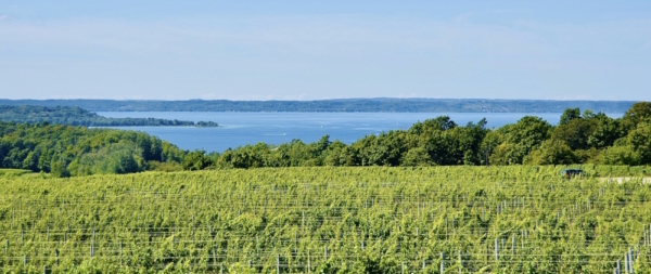 Enjoy wine tasting near Traverse City while staying at our top-rated Bed and Breakfast, the best place to stay near Traverse city