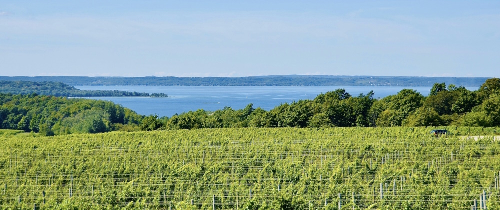 The Best Wine Tasting in Traverse City Beyond 1000x420 1