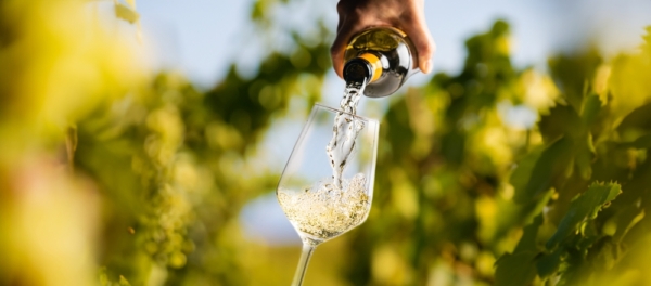 White wine being poured into a glass in the vineyard at top Michigan wineries near Traverse City