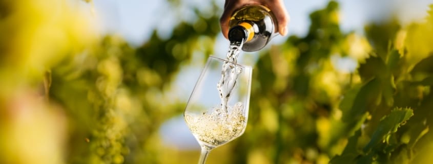 Don’t Miss These Top Michigan Wineries