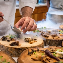 Chef plating a wild mushroom dish.