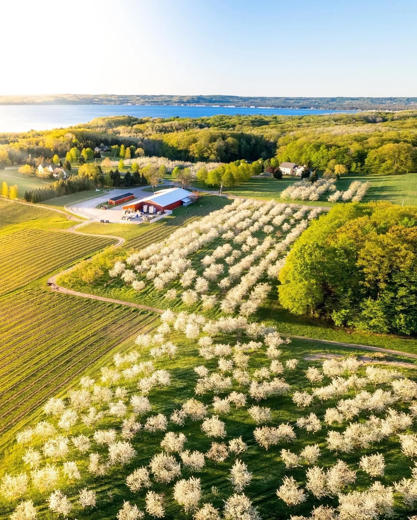 Old Mission Tasting Room Wine Tasting Rooms 3