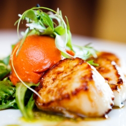 Seared scallops with colorful greens.