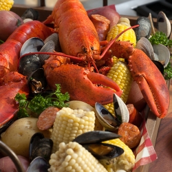 A whole lobster with little neck clams, corn, and potatoes.