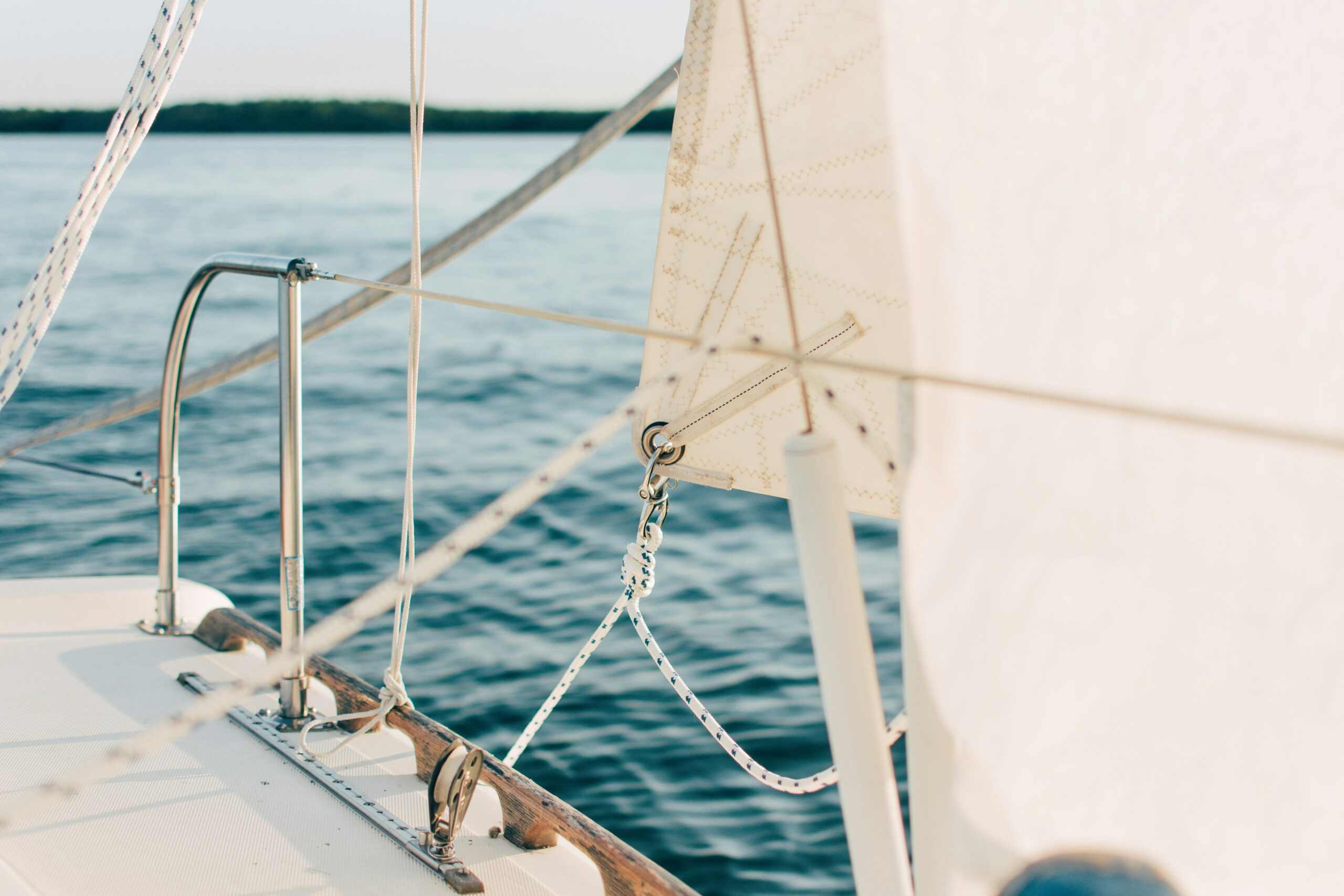 Sailboat A group of people raising wine glasses in celebration