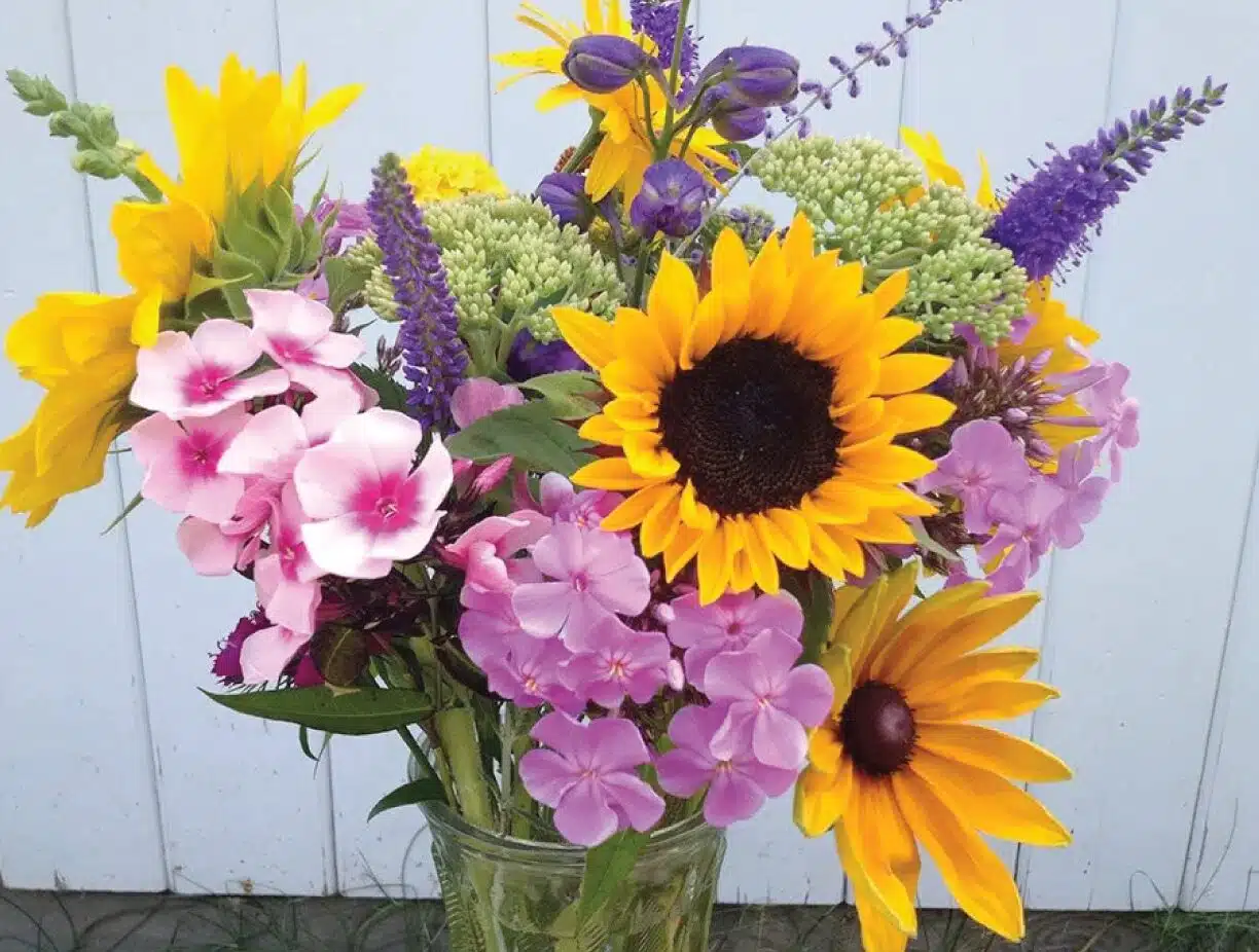 Packages & Specials 9