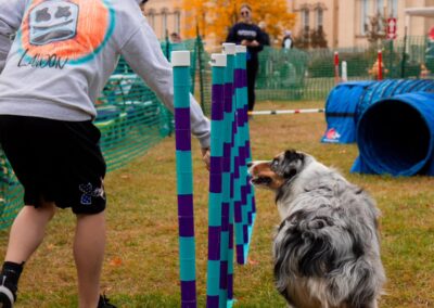 Fall Fido Fest 3