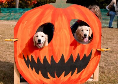 Fall Fido Fest 8