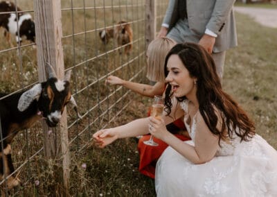 Baby Goats Farm