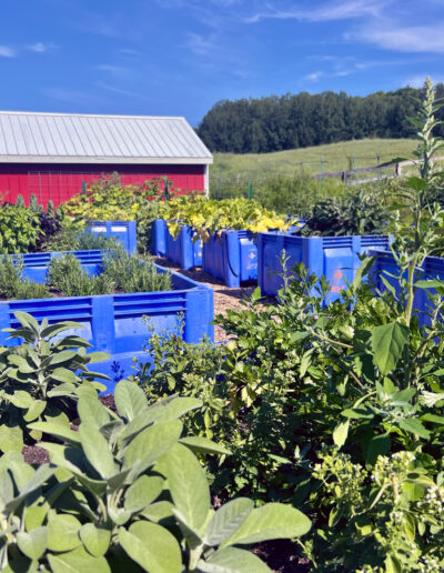 Bistro Polaris 12 Bistro Polaris 6