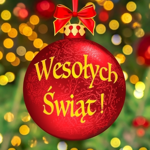 Bistro Polaris 2 A plate of traditional polish stuffed cabbage rolls.