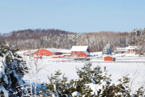 Welcome 1 Beautiful red barn adorned with white chairs and flowers.