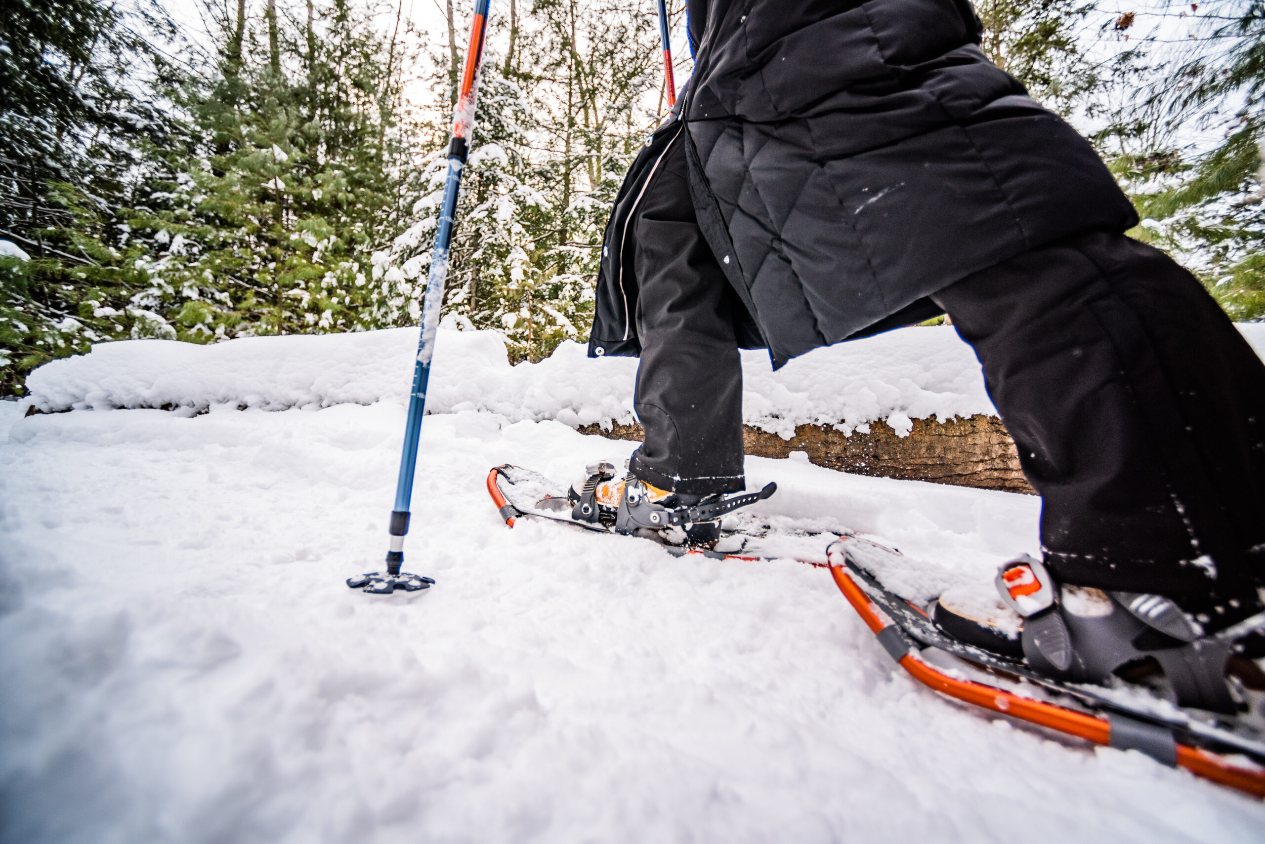 A series of wine glasses with red wine.