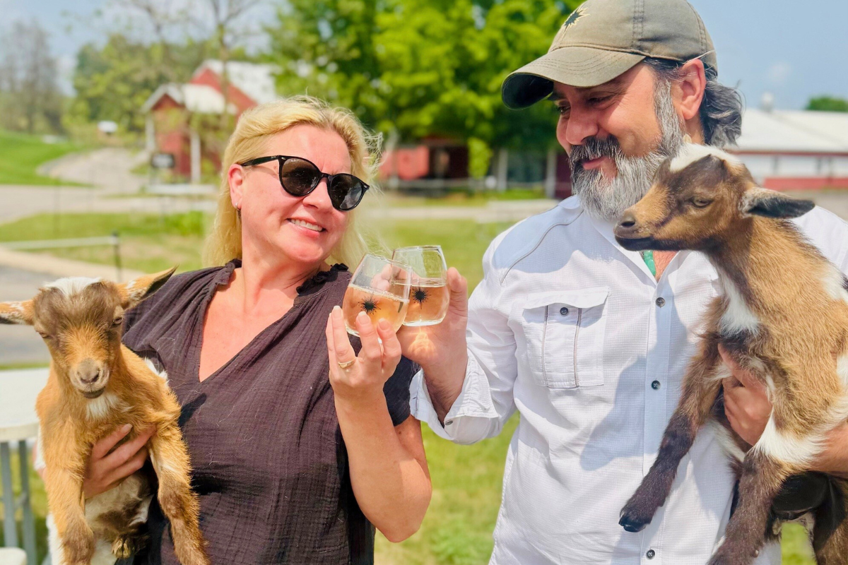 Two people clinking wine glasses while holding baby goats.