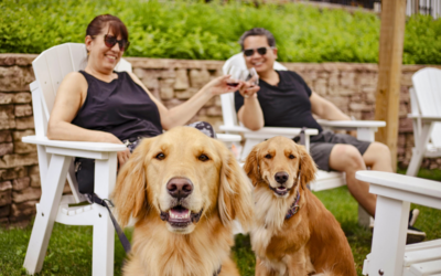Blog 1 Where Can I Take My Dog in Traverse City? Dog-Friendly Guide